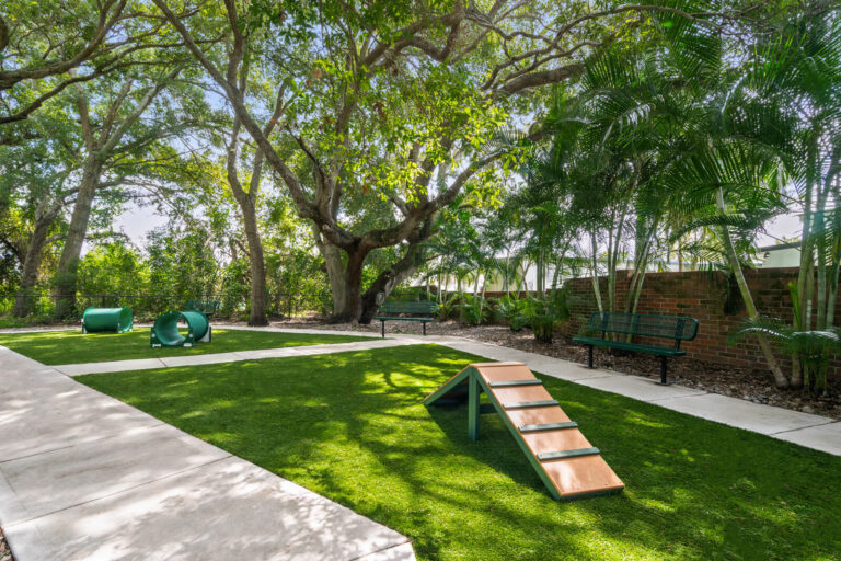 Bayside-Arbors-of-Clearwater-Apartments-dog-park