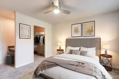 One Bedroom Apartments in Clearwater, FL | Bayside Arbors